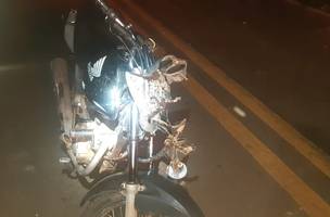 A parte dianteira da mototcileta ficou destruída depois que o homem atingiu a vaca (Foto: Reprodução/ PRF)