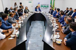 Reunião governo do Piauí (Foto: Divulgação)