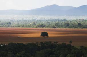 Sem Cerrado, faltará água no Brasil, alertam especialistas (Foto: Marcelo Camargo/Agência Brasil)