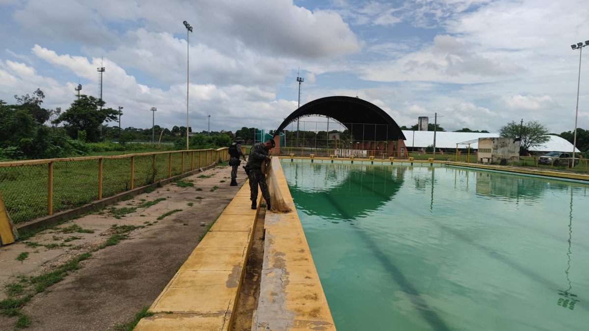 BPA resgata jacaré na piscina do Setor de Esportes da Universidade Federal do Piauí