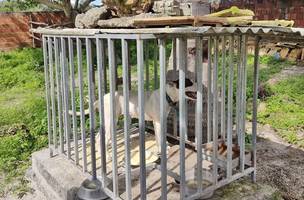 O animal estava preso em uma jaula com água e ração improprias para consumo (Foto: Reprodução)
