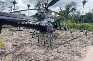 Polícia Federal encontra 85 mil pés de maconha em terras indígenas no Maranhão (Foto: -)