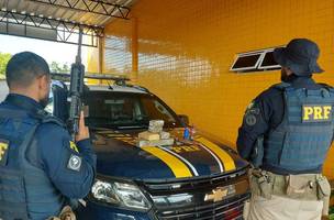 Polícia apreende R$ 4 mil em maconha durante vistoria na BR-320 (Foto: Divulgação/PRF)