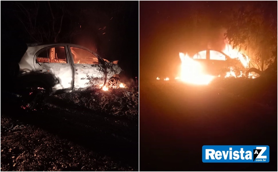 Carro pega fogo depois de motorista bater em árvore