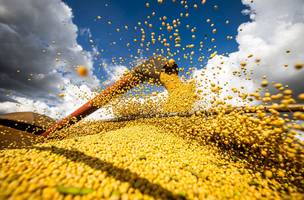 Conab estima safra de grãos em 313 milhões de toneladas (Foto: CNA/Wanderson Araujo/Trilux)