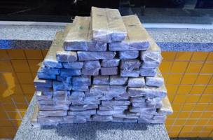 Droga encontrada (Foto: Divulgação/PRF)