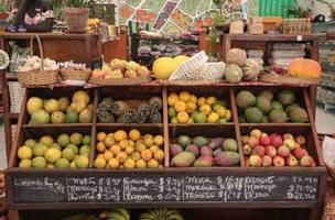 Frente parlamentar promove debate sobre produção de bioinsumos no Brasil (Foto: Divulgação/Brasil de Fato)