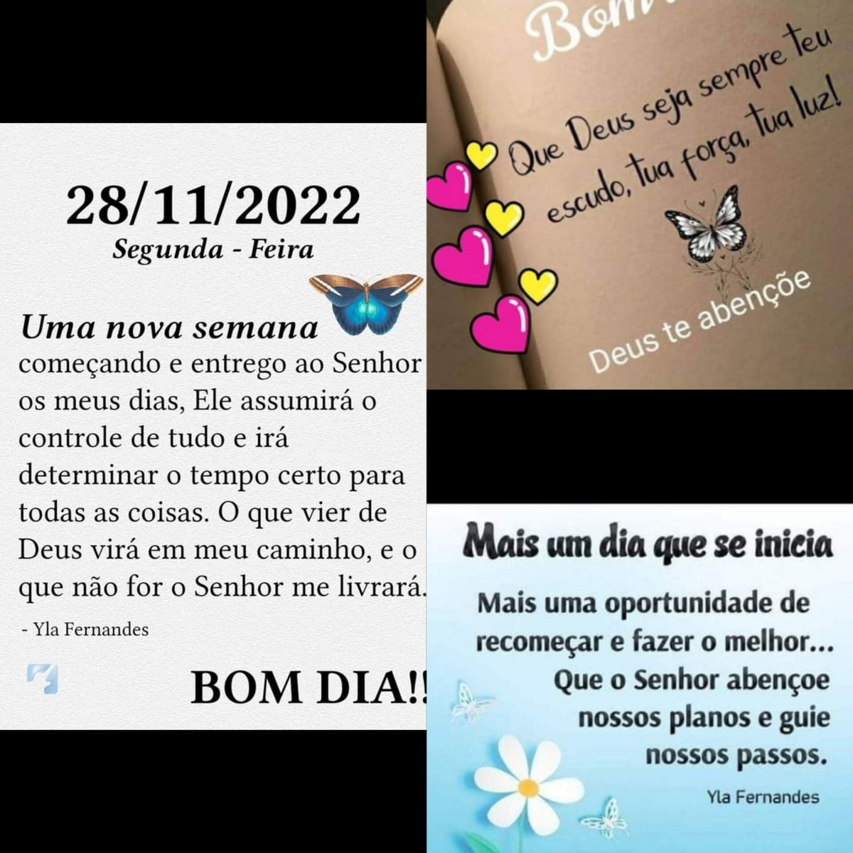 Pensamento do dia