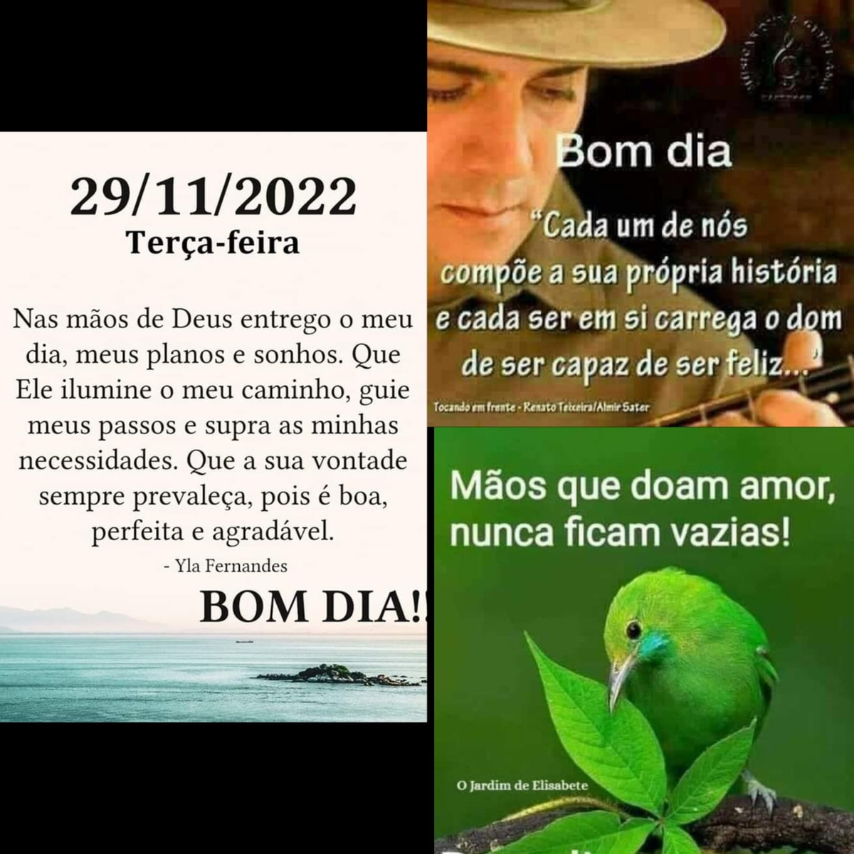 Pensamento do dia