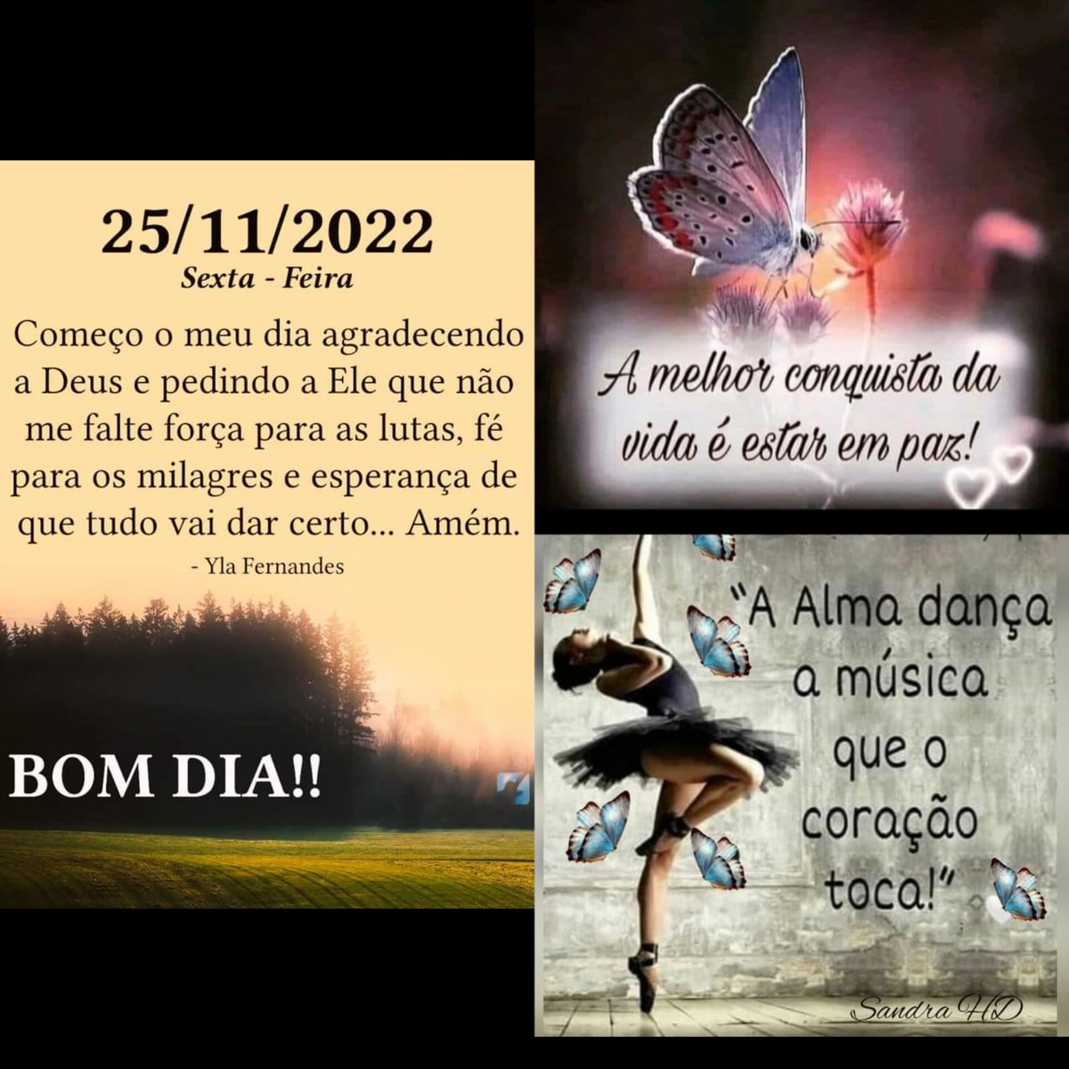 pensamento