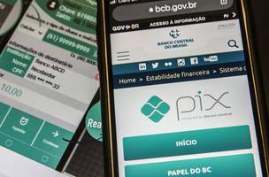 Pix consolida-se como meio de pagamento mais usado no país (Foto: Marcello Casal Jr/Agência Brasil)