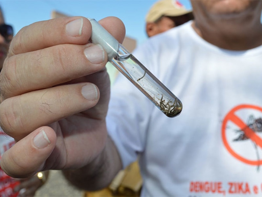 Teresina tem mais de 13 mil casos confirmados de dengue