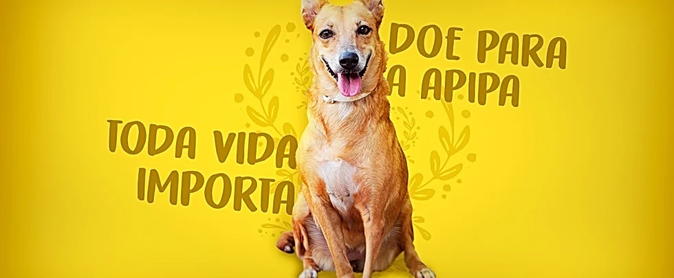 Apipa