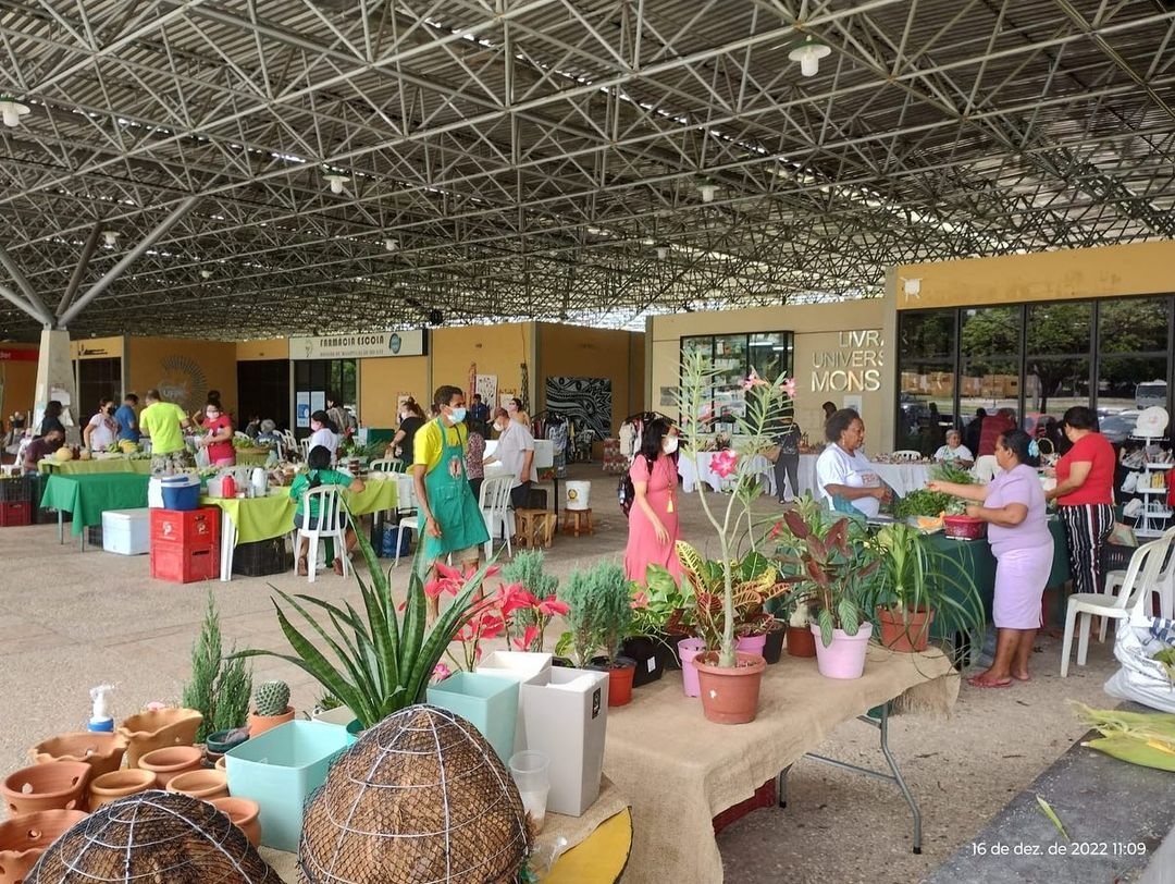 Edição de Natal da 'Feirinha', no espaço Rosa dos ventos.