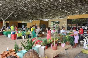 Edição de Natal da 'Feirinha', no espaço Rosa dos ventos. (Foto: Divulgação)