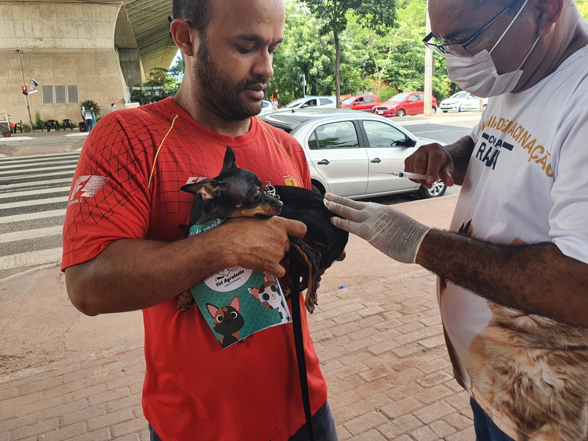 Neste sábado (3) tem vacinação contra a raiva nas zonas Sul e Sudeste