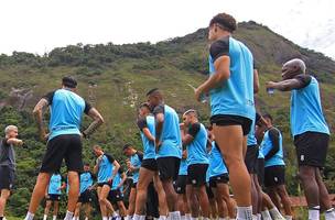 O atual plantel do otafogo (Foto: Vitor Silva/Botafogo)