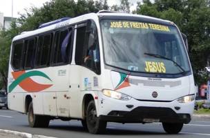 Ônibus (Foto: Renan de Araújo/Ônibus Brasil)