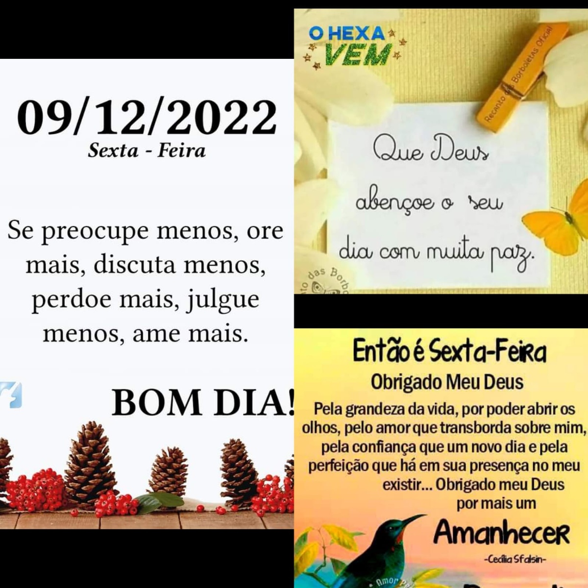 Pensamento do dia