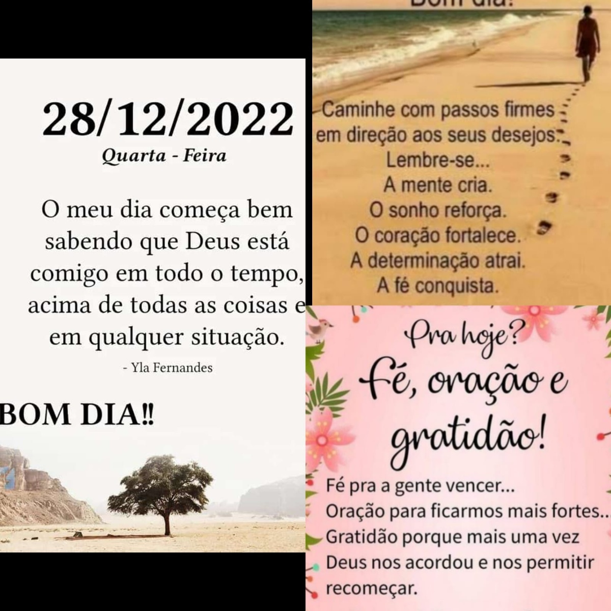 Pensamento do dia