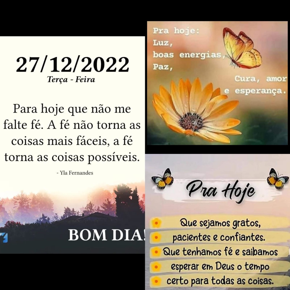 Pensamento do dia