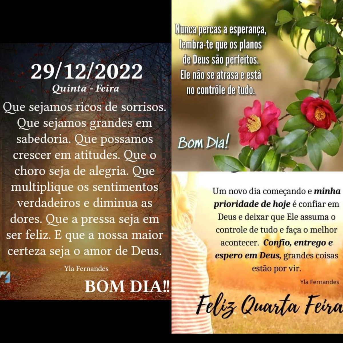 Pensamento do dia