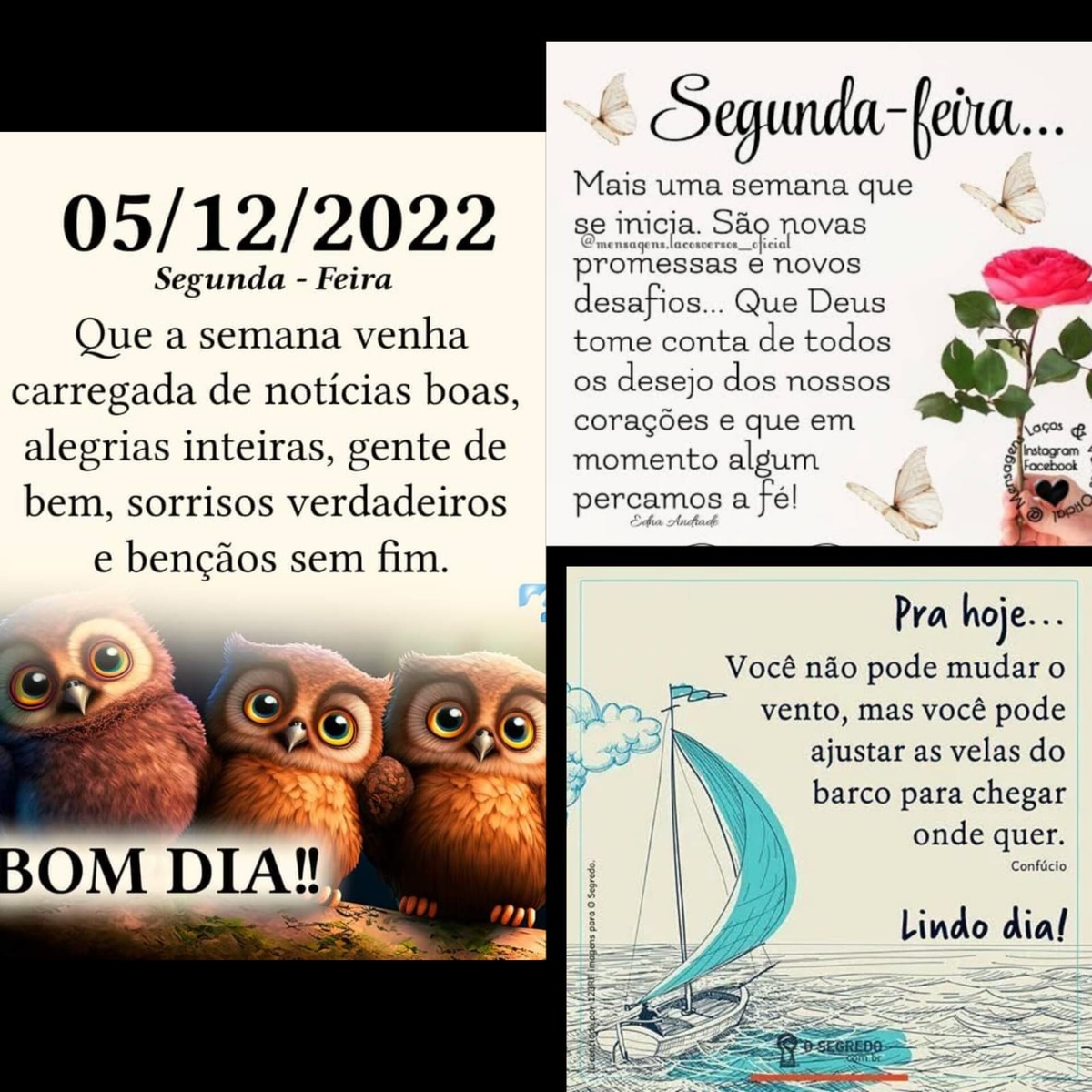 Pensamento do dia