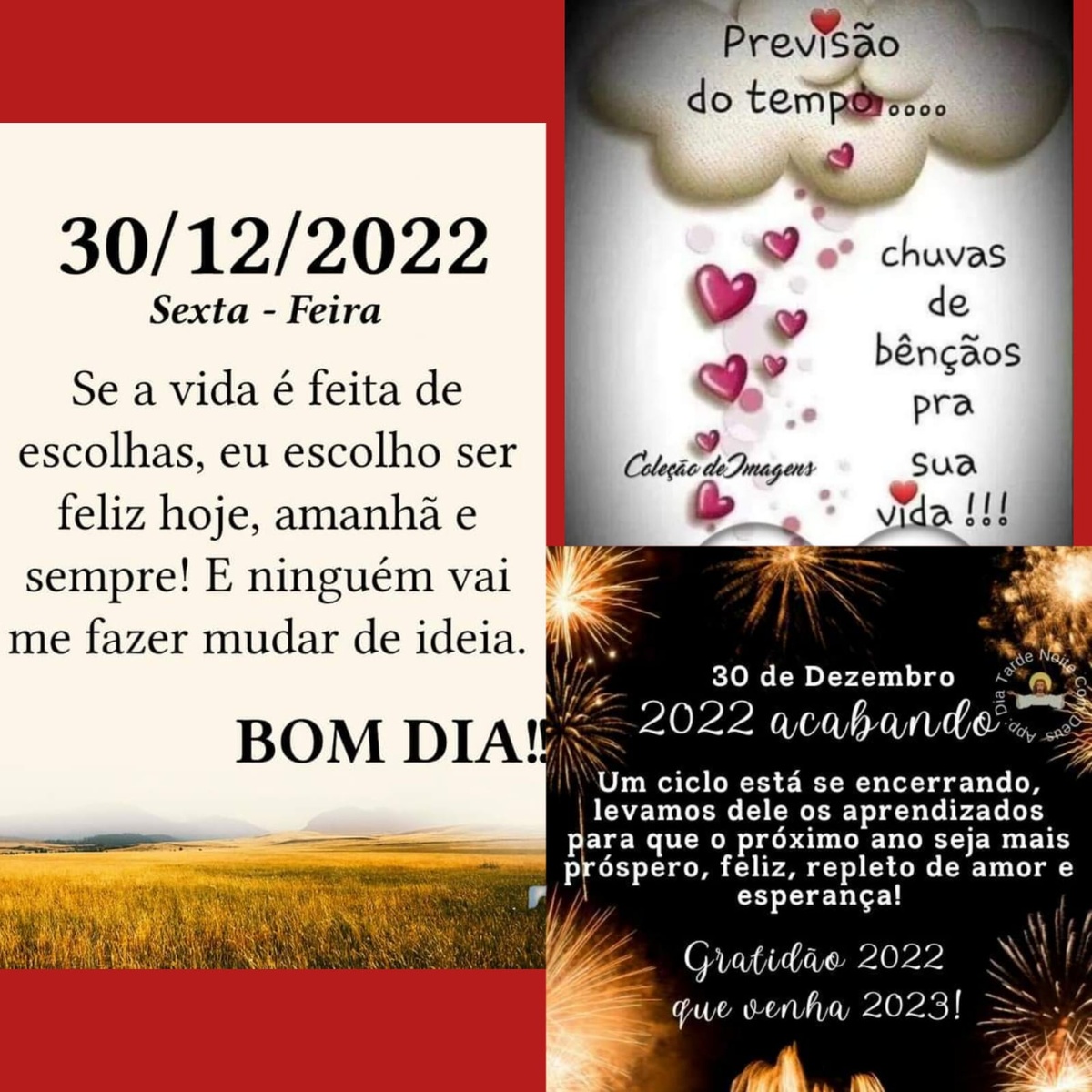 Pensamento do dia