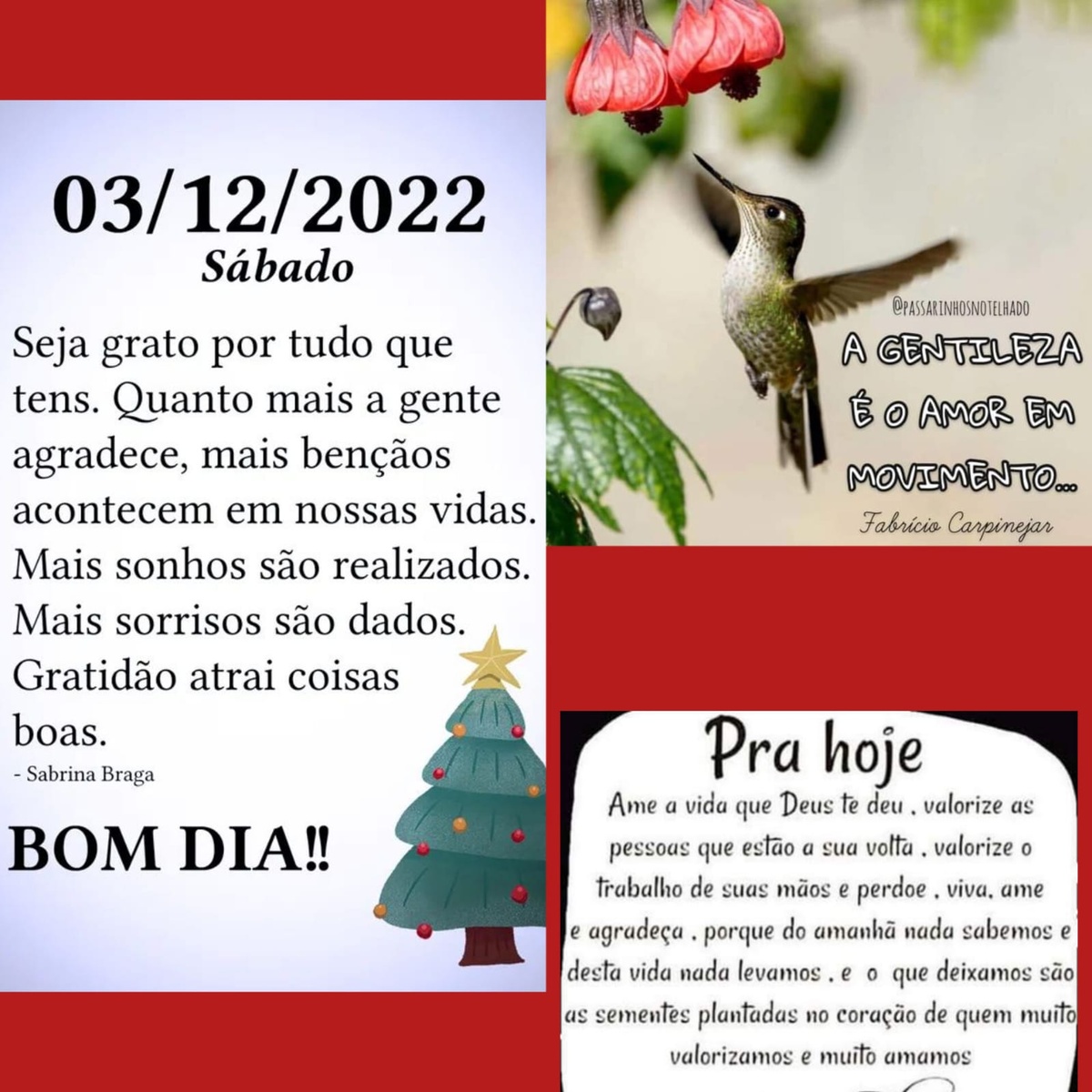 Pensamento do dia