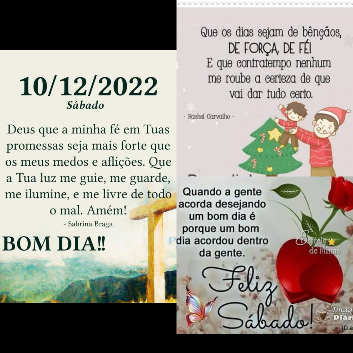 Pensamento do dia