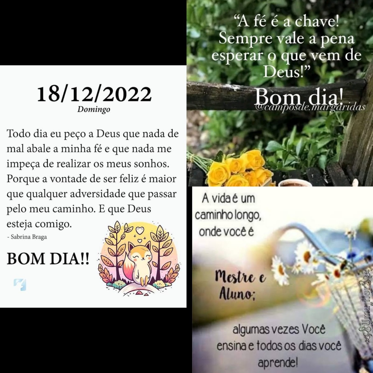 Pensamento do dia