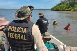 PF apreende redes de pesca ilegais (Foto: PF/Divulgação)