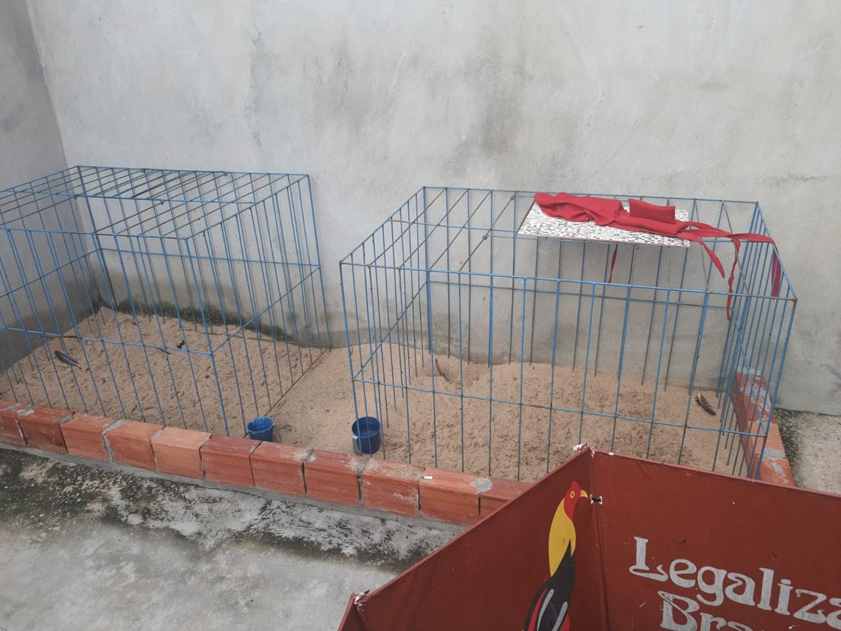 Polícia Civil prende quatro pessoas