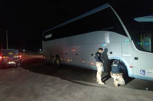 PRF recupera ônibus clonado (Foto: Foto Divulgação)