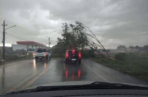 Chuva e ventos fortes em campo maior (Foto: Campo Maior em Foco)