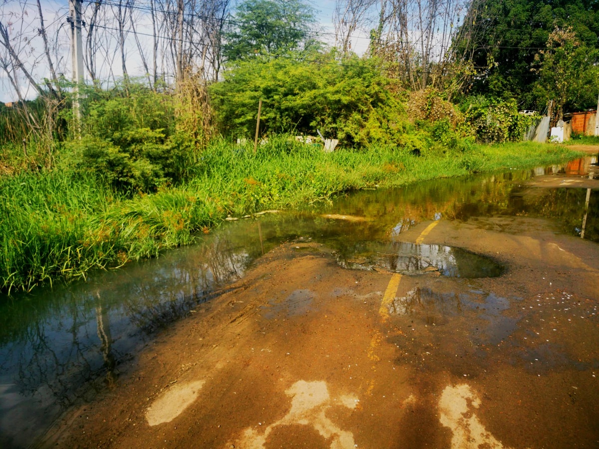 Crime ambiental em São Raimundo Nonato