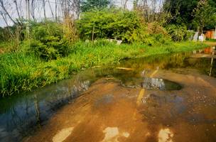 Crime ambiental em São Raimundo Nonato (Foto: Divulgação)