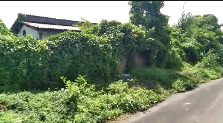 Fachada da escola