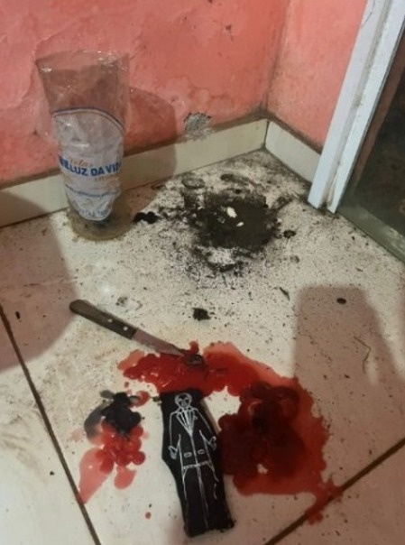 Imagens com sangue de animal