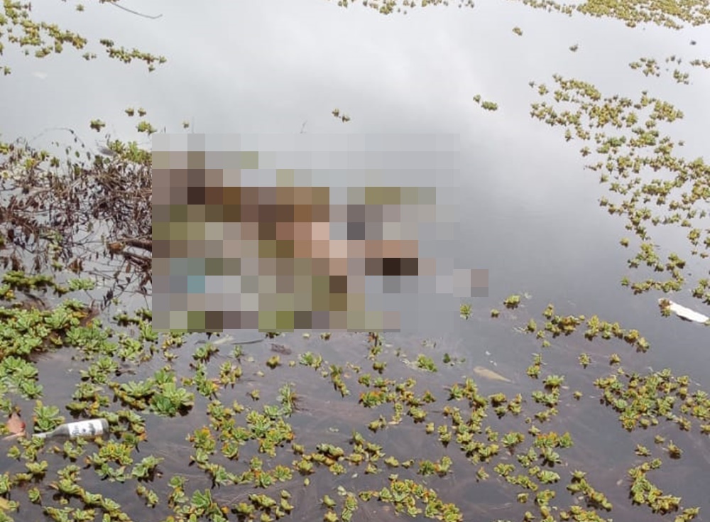 Mulher é encontrada em avançado estado de decomposição