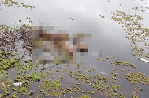 Mulher é encontrada em avançado estado de decomposição (Foto: Divulgação/PM)