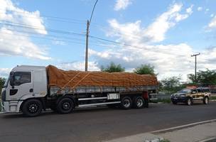 O motorista e o dono do veículo responderão por crime ambiental (Foto: Reprodução)