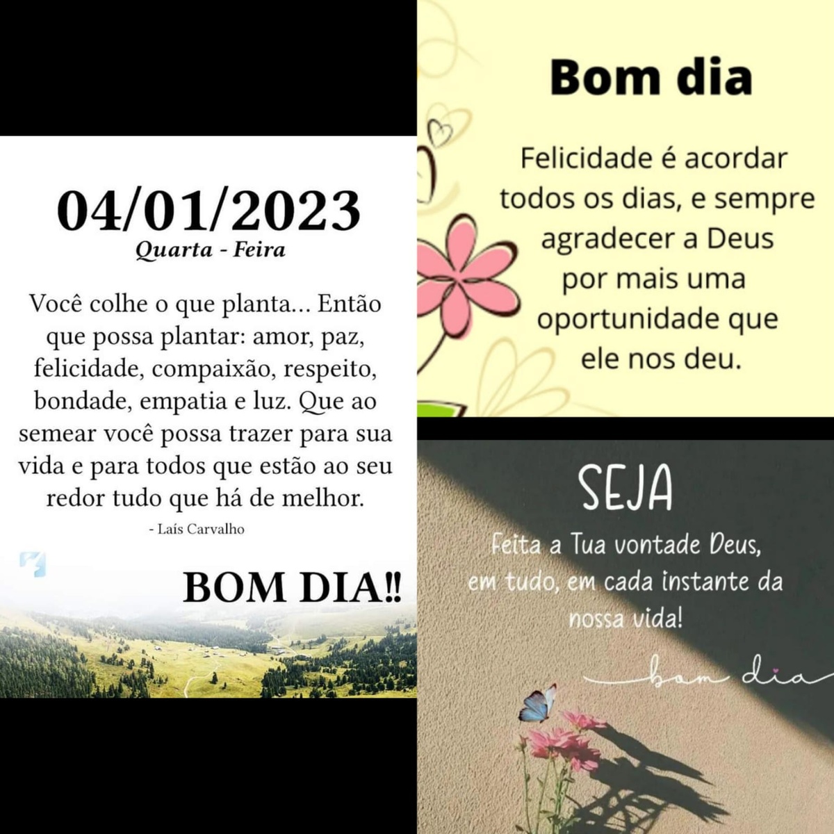 Pensamento do dia