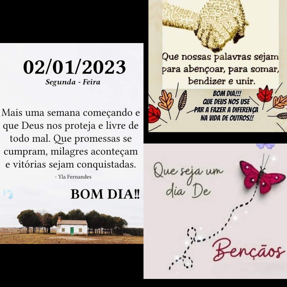 Pensamento do dia