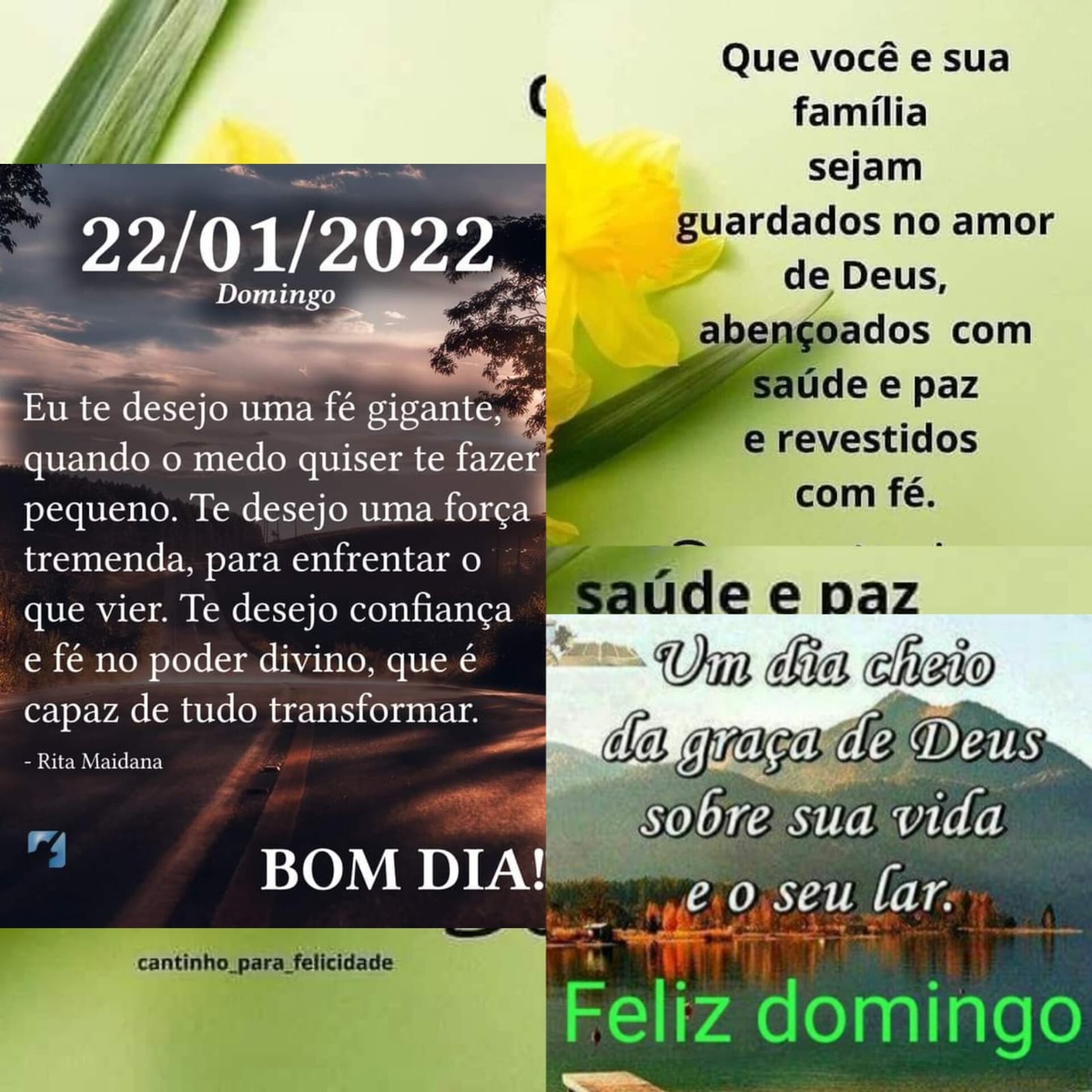 Pensamento do dia