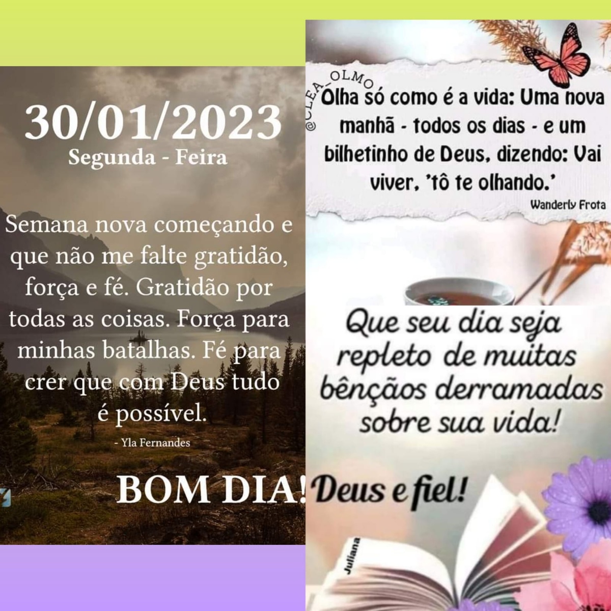 Pensamento do dia