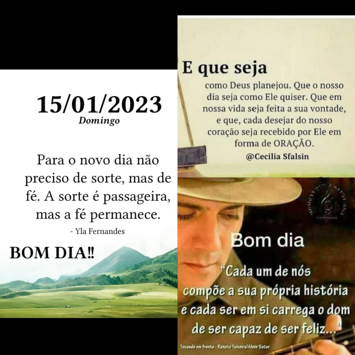 Pensamento do dia