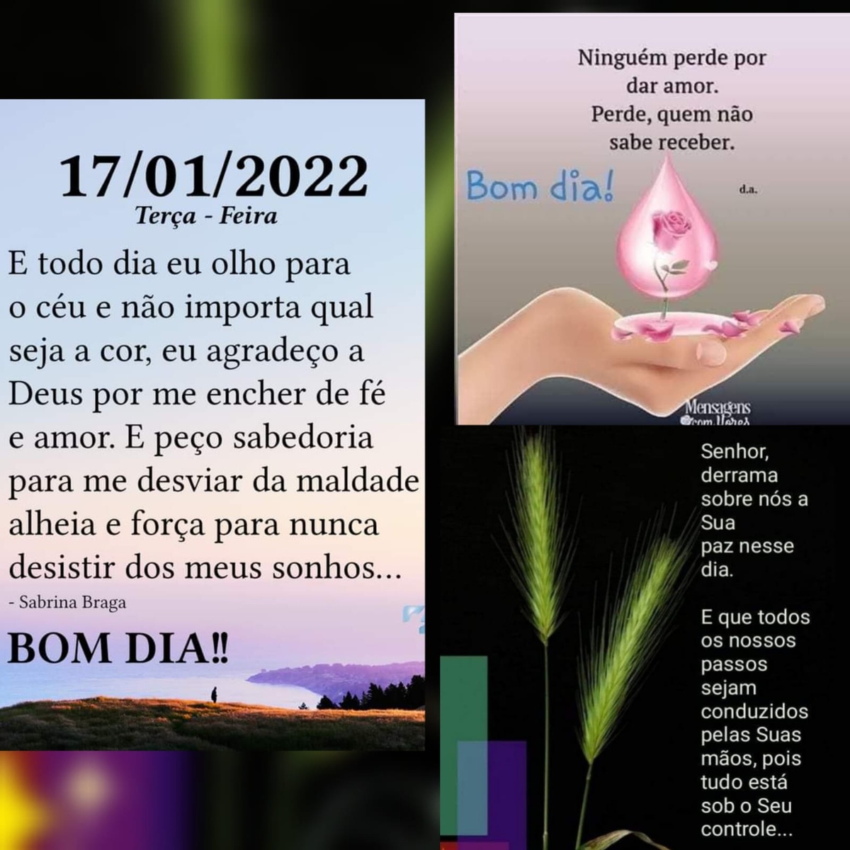 Pensamento do dia