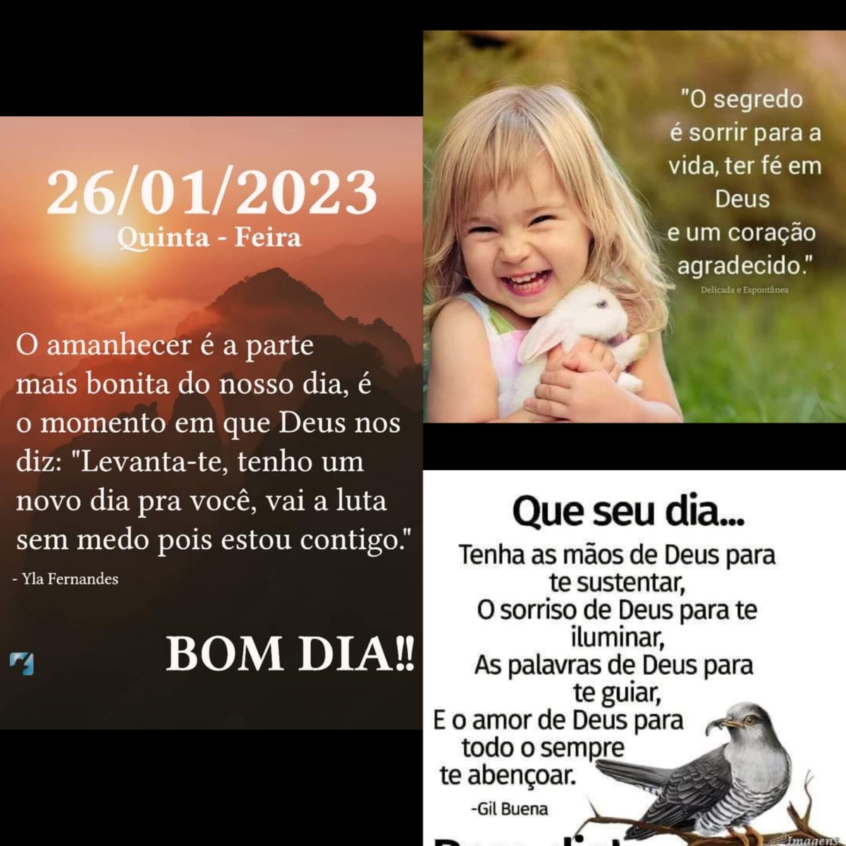 Pensamento do dia