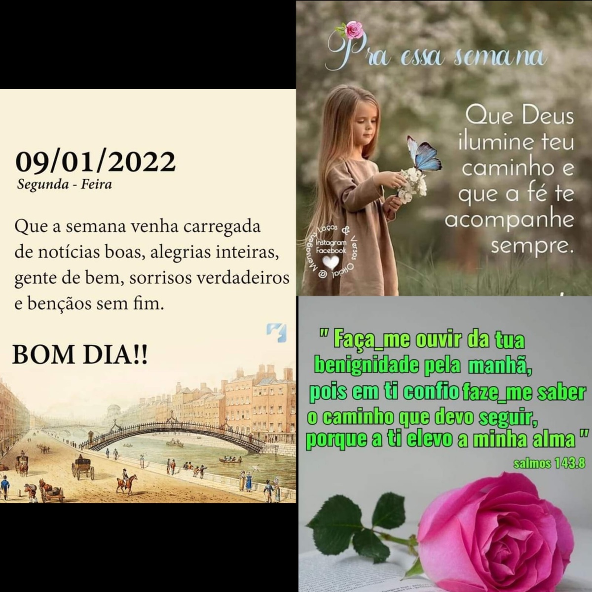 Pensamento do dia